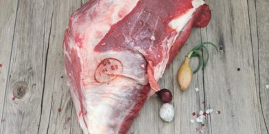 Jungbullen-Dicker Bug Jungbullen-Dicker Bug